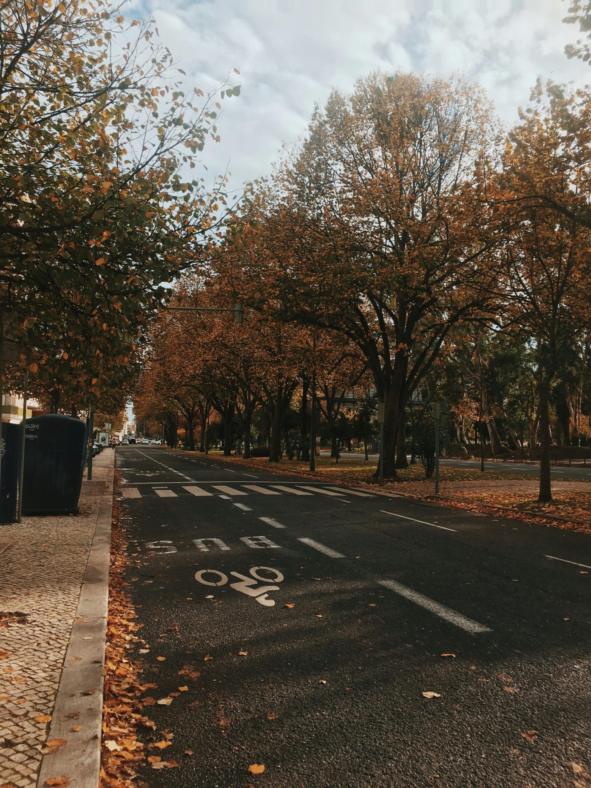 Bus lane with a crosswalk